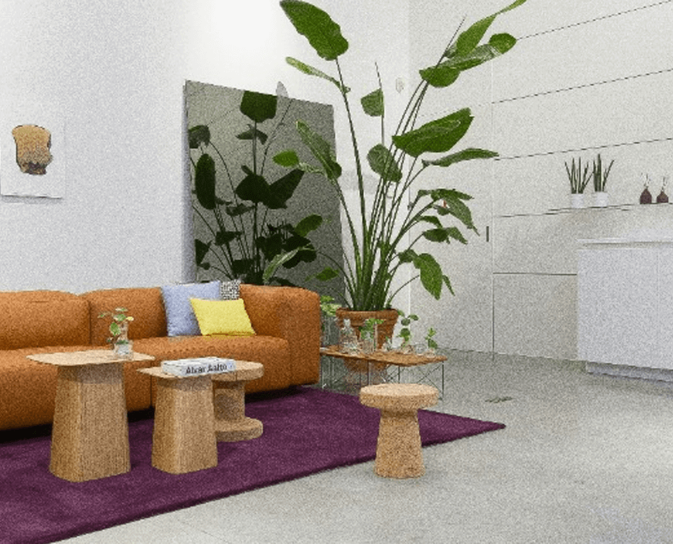 Football Betting with BNB